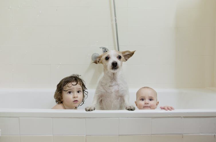 Bath time